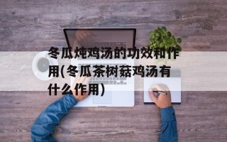 冬瓜炖鸡汤的功效和作用(冬瓜茶树菇鸡汤有什么作用)