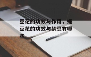 豆花的功效与作用，蝶豆花的功效与禁忌有哪些