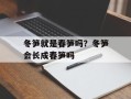 冬笋就是春笋吗？冬笋会长成春笋吗