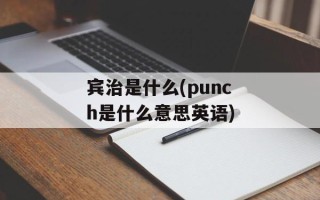 宾治是什么(punch是什么意思英语)