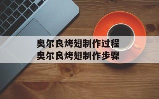 奥尔良烤翅制作过程 奥尔良烤翅制作步骤