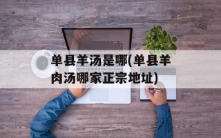 单县羊汤是哪(单县羊肉汤哪家正宗地址)