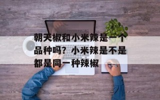 朝天椒和小米辣是一个品种吗？小米辣是不是都是同一种辣椒