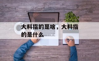 大料指的是啥，大料指的是什么