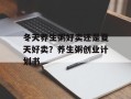 冬天养生粥好卖还是夏天好卖？养生粥创业计划书