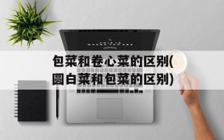 包菜和卷心菜的区别(圆白菜和包菜的区别)
