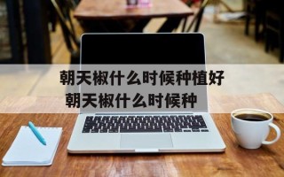 朝天椒什么时候种植好 朝天椒什么时候种