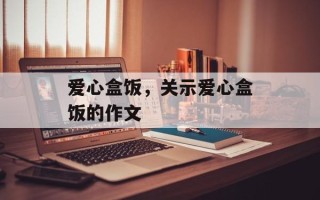 爱心盒饭，关示爱心盒饭的作文
