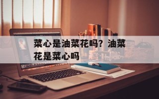 菜心是油菜花吗？油菜花是菜心吗
