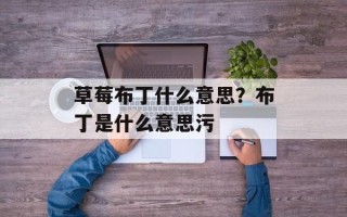 草莓布丁什么意思？布丁是什么意思污
