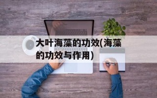 大叶海藻的功效(海藻的功效与作用)