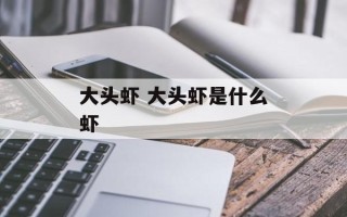 大头虾 大头虾是什么虾