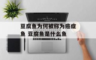豆腐鱼为何被称为癌症鱼 豆腐鱼是什么鱼