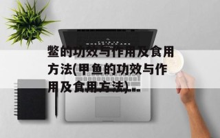 鳖的功效与作用及食用方法(甲鱼的功效与作用及食用方法)