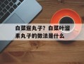 白菜遛丸子？白菜叶溜素丸子的做法是什么