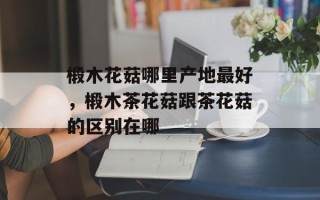 椴木花菇哪里产地最好，椴木茶花菇跟茶花菇的区别在哪
