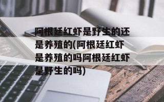 阿根廷红虾是野生的还是养殖的(阿根廷红虾是养殖的吗阿根廷红虾是野生的吗)
