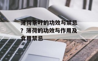 薄荷茶叶的功效与禁忌？薄荷的功效与作用及食用禁忌