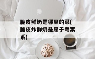 脆皮鲜奶是哪里的菜(脆皮炸鲜奶是属于粤菜系)