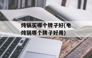 炖锅买哪个牌子好(电炖锅哪个牌子好用)