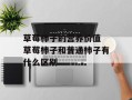 草莓柿子的营养价值 草莓柿子和普通柿子有什么区别