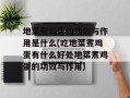 地菜煮鸡蛋的功效与作用是什么(吃地菜煮鸡蛋有什么好处地菜煮鸡蛋的功效与作用)