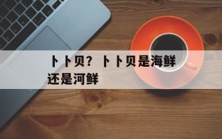 卜卜贝？卜卜贝是海鲜还是河鲜