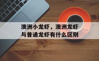 澳洲小龙虾，澳洲龙虾与普通龙虾有什么区别