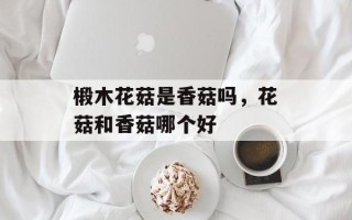 椴木花菇是香菇吗，花菇和香菇哪个好