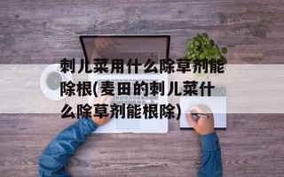 刺儿菜用什么除草剂能除根(麦田的刺儿菜什么除草剂能根除)