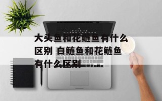 大头鱼和花鲢鱼有什么区别 白鲢鱼和花鲢鱼有什么区别