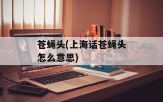 苍蝇头(上海话苍蝇头怎么意思)
