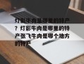 灯影牛肉是哪里的特产？灯影牛肉是哪里的特产张飞牛肉是哪个地方的特产