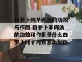 白萝卜炖羊肉汤的功效与作用 白萝卜羊肉汤的功效和作用是什么白萝卜炖羊肉该怎么制作