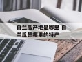 白兰瓜产地是哪里 白兰瓜是哪里的特产