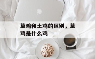 草鸡和土鸡的区别，草鸡是什么鸡