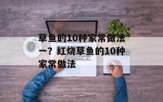 草鱼的10种家常做法一？红烧草鱼的10种家常做法