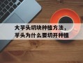 大芋头切块种植方法，芋头为什么要切开种植