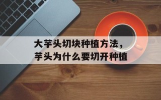 大芋头切块种植方法，芋头为什么要切开种植