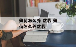 薄荷怎么养 盆栽 薄荷怎么养盆栽