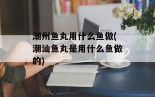 潮州鱼丸用什么鱼做(潮汕鱼丸是用什么鱼做的)