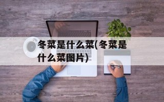 冬菜是什么菜(冬菜是什么菜图片)