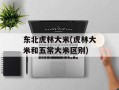 东北虎林大米(虎林大米和五常大米区别)