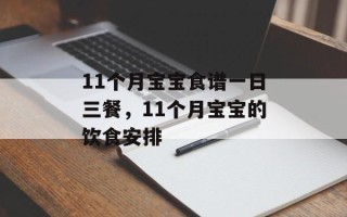 11个月宝宝食谱一日三餐，11个月宝宝的饮食安排