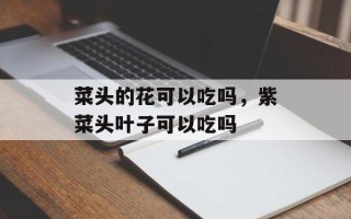 菜头的花可以吃吗，紫菜头叶子可以吃吗