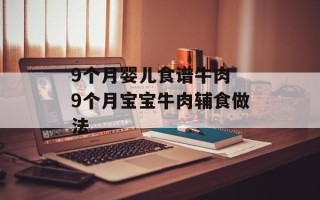 9个月婴儿食谱牛肉 9个月宝宝牛肉辅食做法
