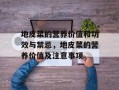 地皮菜的营养价值和功效与禁忌，地皮菜的营养价值及注意事项