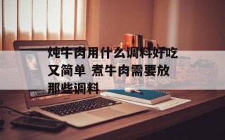 炖牛肉用什么调料好吃又简单 煮牛肉需要放那些调料