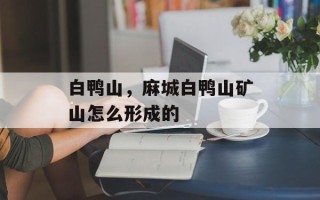 白鸭山，麻城白鸭山矿山怎么形成的