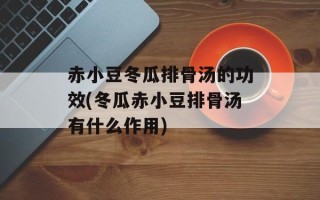 赤小豆冬瓜排骨汤的功效(冬瓜赤小豆排骨汤有什么作用)